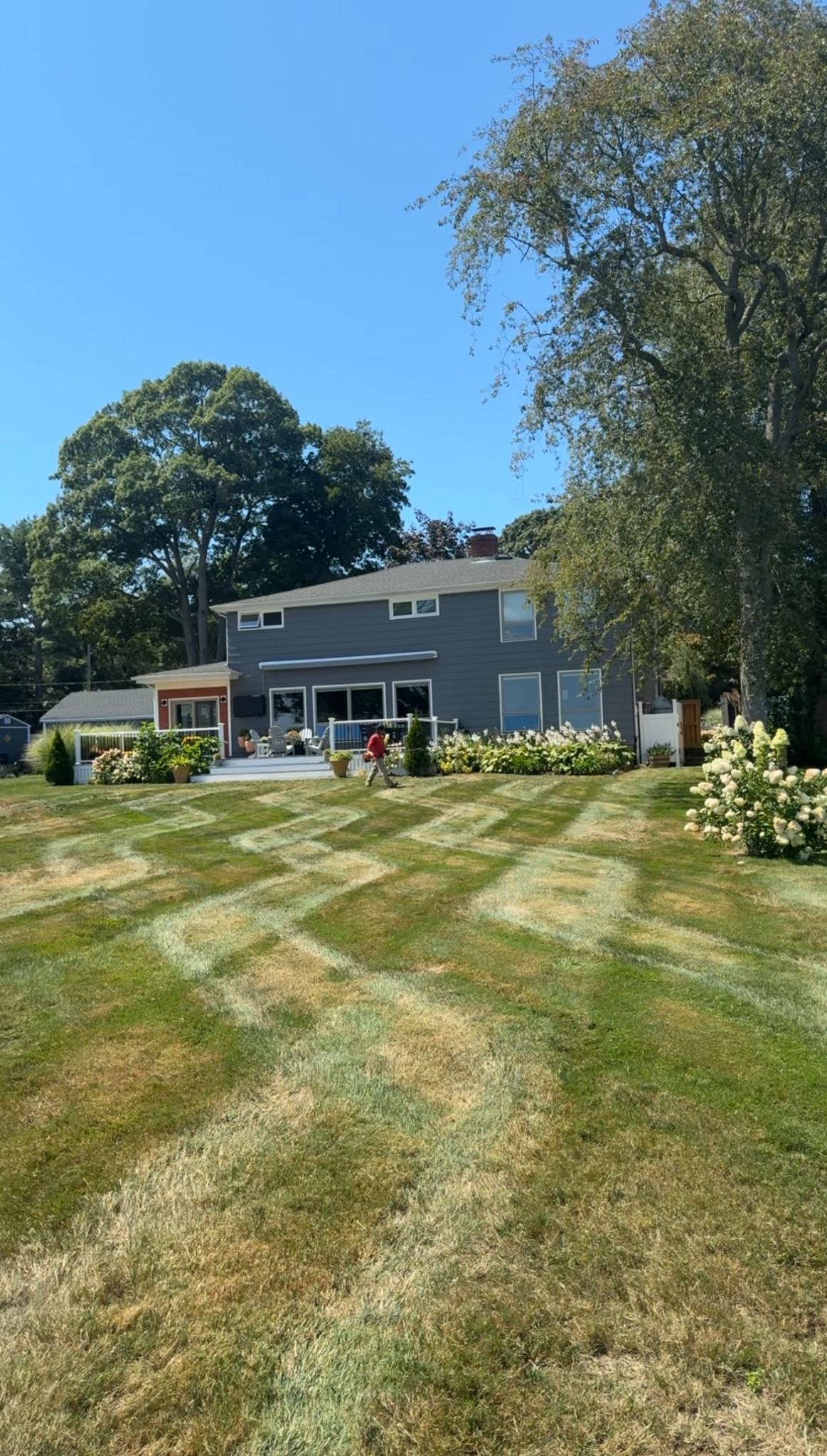 Freshly mowed lawn