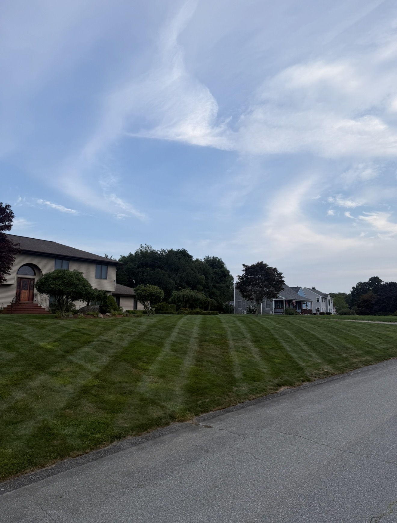 Large lawn with mowing stripes
